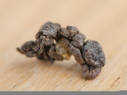 ГАБА Фермерская &amp;quot;А&amp;quot;