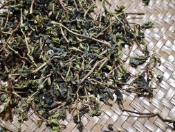 Чжэн Шань Цун Мао Ча Те Гуань Инь, осень 2025 г.