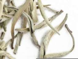 Гу Шу Бай Я "АА" (Белые Почки с Древних Деревьев), Юньнань, 2024 г.