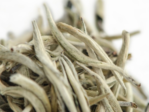 Гу Шу Бай Я &amp;quot;АА&amp;quot; (Белые Почки с Древних Деревьев), Юньнань, 2024 г.