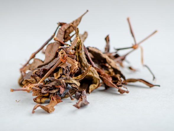 ГАБА Кисляк &amp;quot; 2.0 &amp;quot;, ф-ка &amp;quot;ZEMO&amp;quot;, Ткибули, Грузия, 2025 г.