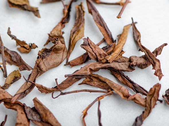 ГАБА Кисляк &amp;quot; 2.0 &amp;quot;, ф-ка &amp;quot;ZEMO&amp;quot;, Ткибули, Грузия, 2025 г.