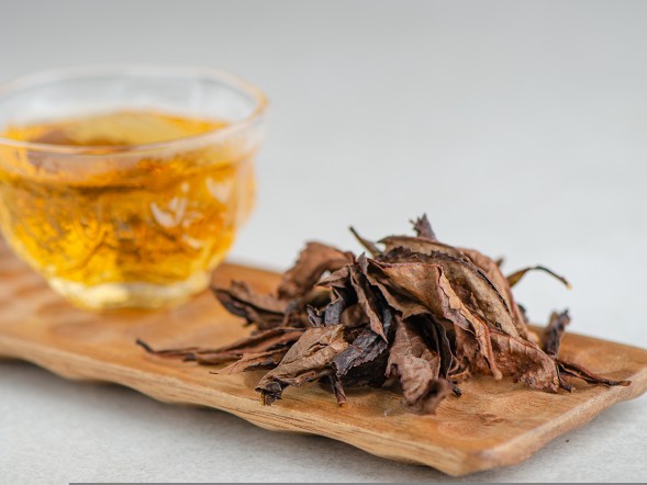 ГАБА Кисляк &amp;quot; 2.0 &amp;quot;, ф-ка &amp;quot;ZEMO&amp;quot;, Ткибули, Грузия, 2025 г.