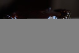 Фигурка #541, меняющая цвет, пластик, 8см.