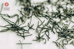 Кокейча &amp;quot;АА&amp;quot;