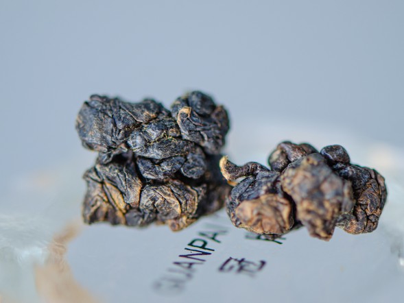 ГАБА Ганзай &amp;quot;ААА&amp;quot;