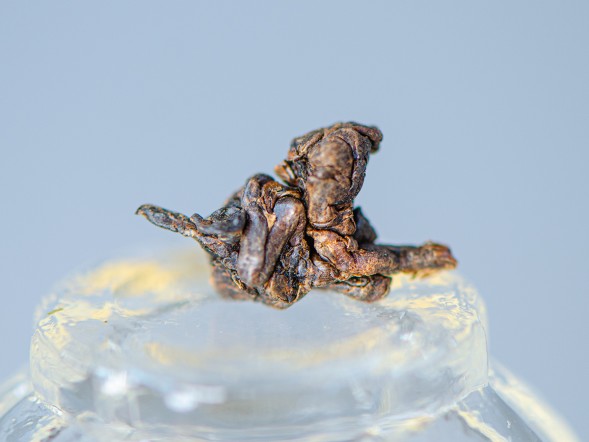 ГАБА &amp;quot;Ла Ла Шань&amp;quot; ААА