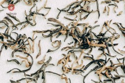 Хэй Чжен Чжу &amp;quot;ААА&amp;quot; (Истинный Черный Жемчуг), 2025г.