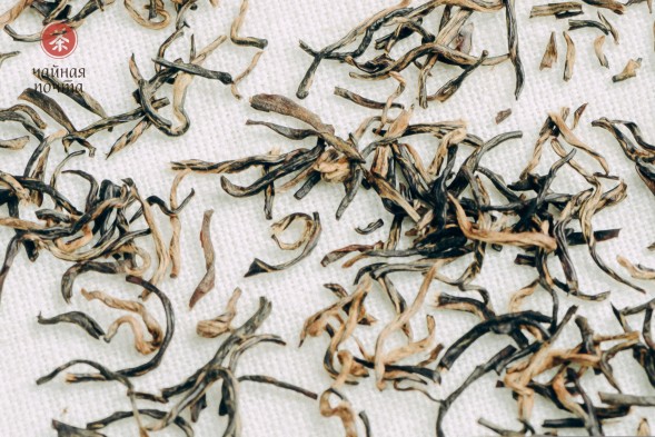 Хэй Чжен Чжу &amp;quot;ААА&amp;quot; (Истинный Черный Жемчуг), 2025г.