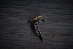 Шоу Гун Те Гуань Инь &amp;quot;ААА&amp;quot; , 2025 г.