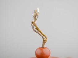 Моли Хуа Ча &amp;quot;А&amp;quot; (Зеленый Чай с Цветами Жасмина), 2024г.