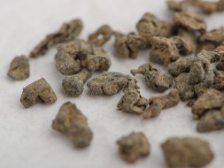 Жень Шень Улун &amp;quot;ААА&amp;quot;, 2025 г.