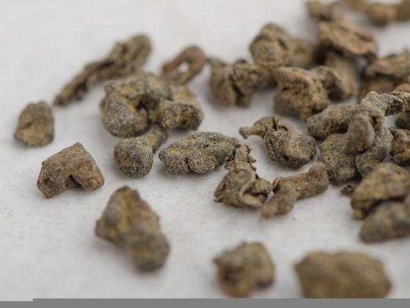 Жень Шень Улун &amp;quot;ААА&amp;quot;, 2025 г.